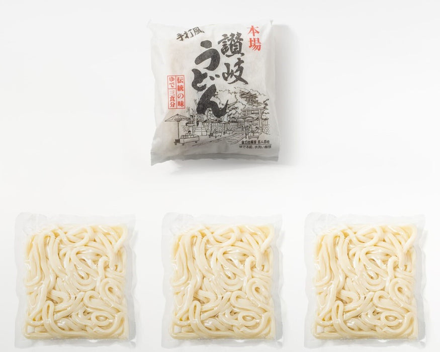 Sanuki Shokuhin - Udon Weizennudeln 3x200g
